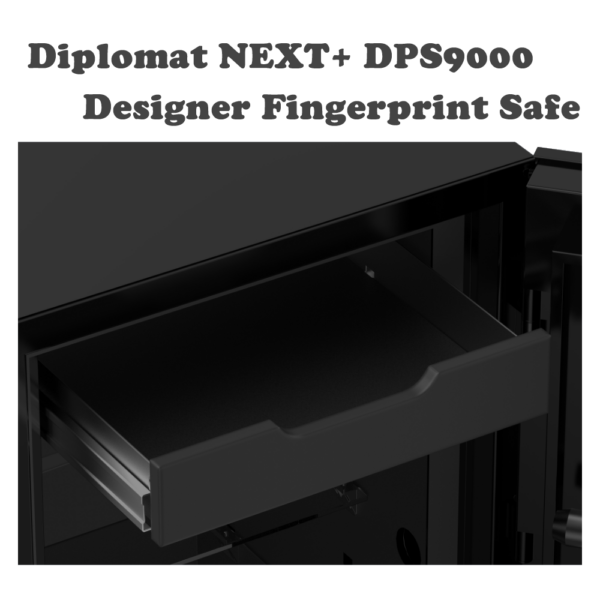DPS 9000